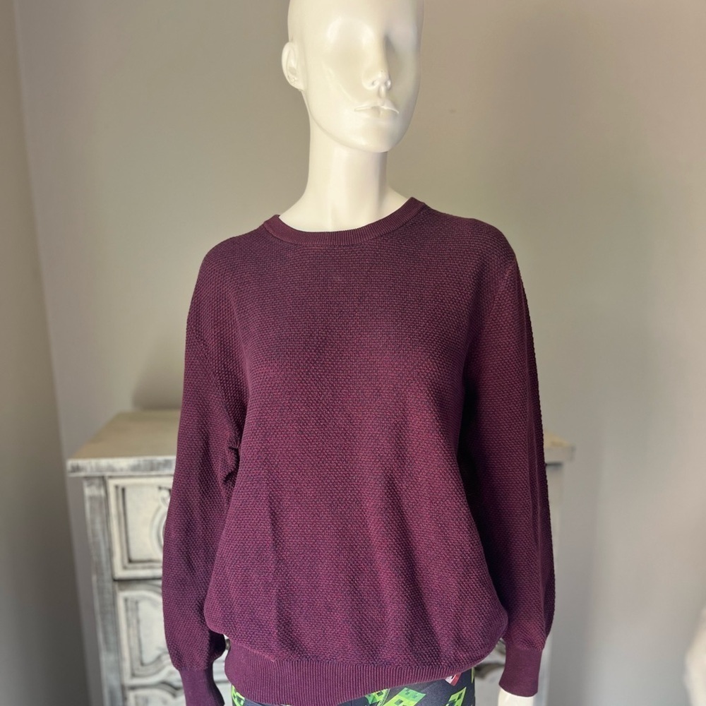 Goodfellow & Co Red and Blue Sweater